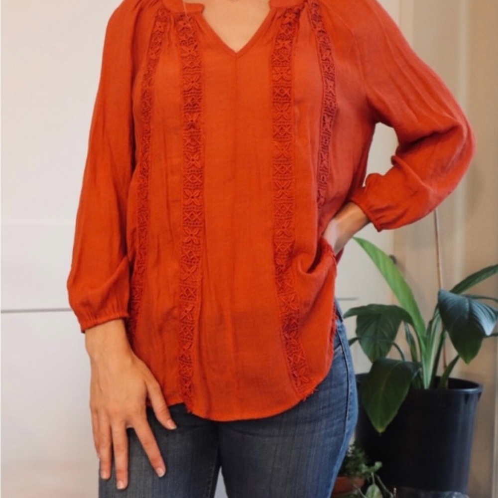 Counterparts Terracotta Blouse with Embroidered Accents
0030